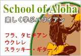 �ϥ磻���󥫥���㡼����������㥹�����롦���֡������ϡ�